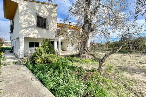 Villa a Benejuzar, Alicante, Benejuzar - € 238.000 | Ref: AG19MLSC6250084 - foto 21