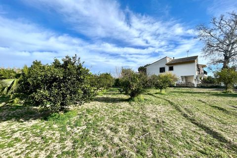 Villa a Benejuzar, Alicante, Benejuzar - € 238.000 | Ref: AG19MLSC6250084 - foto 25