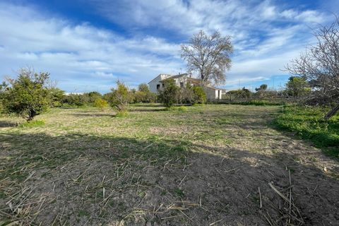 Villa a Benejuzar, Alicante, Benejuzar - € 238.000 | Ref: AG19MLSC6250084 - foto 26