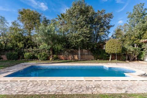 Willa: Sa Pobla, Mallorca, Sa Pobla – 1 080 000 € | Ref: 7109 – zdjęcie 19