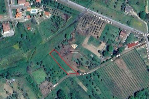 Helårsgrund i Viseu, Viseu, Viseu - € 5.500 | Ref: PNI-102-2026 - foto 12