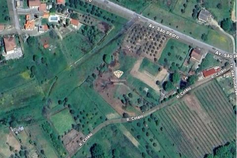 Helårsgrund i Viseu, Viseu, Viseu - € 5.500 | Ref: PNI-102-2026 - foto 13