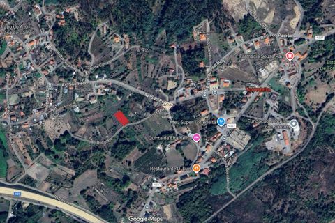 Helårsgrund i Viseu, Viseu, Viseu - € 5.500 | Ref: PNI-102-2026 - foto 15