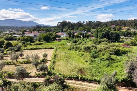 Helårsgrund i Viseu, Viseu, Viseu - € 5.500 | Ref: PNI-102-2026 - foto 2