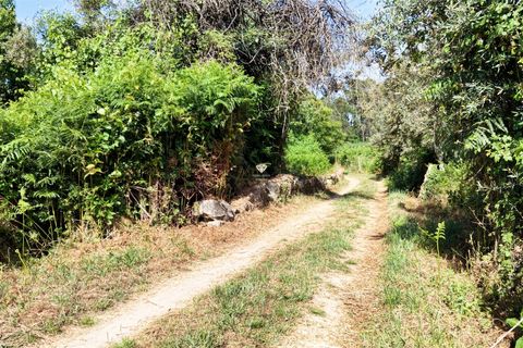 Helårsgrund i Viseu, Viseu, Viseu - € 5.500 | Ref: PNI-102-2026 - foto 3