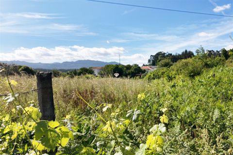 Helårsgrund i Viseu, Viseu, Viseu - € 5.500 | Ref: PNI-102-2026 - foto 4