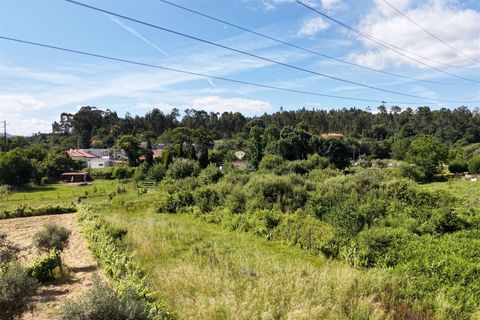 Helårsgrund i Viseu, Viseu, Viseu - € 5.500 | Ref: PNI-102-2026 - foto 5