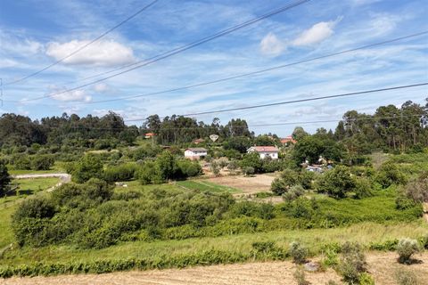 Helårsgrund i Viseu, Viseu, Viseu - € 5.500 | Ref: PNI-102-2026 - foto 7