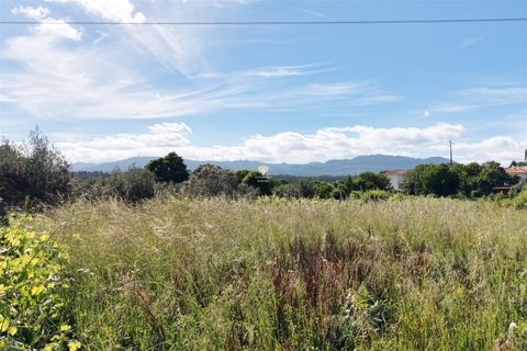 Helårsgrund i Viseu, Viseu, Viseu - € 5.500 | Ref: PNI-102-2026 - foto 8