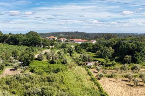 Helårsgrund i Viseu, Viseu, Viseu - € 5.500 | Ref: PNI-102-2026 - foto 9