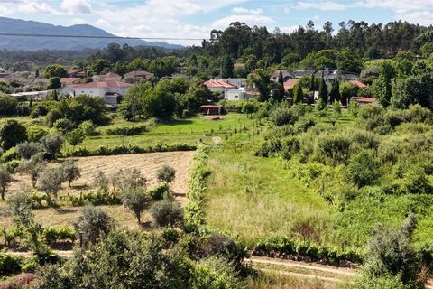 Helårsgrund i Viseu, Viseu, Viseu - € 5.500 | Ref: PNI-102-2026 - foto 10