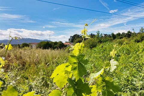 Helårsgrund i Viseu, Viseu, Viseu - € 5.500 | Ref: PNI-102-2026 - foto 11