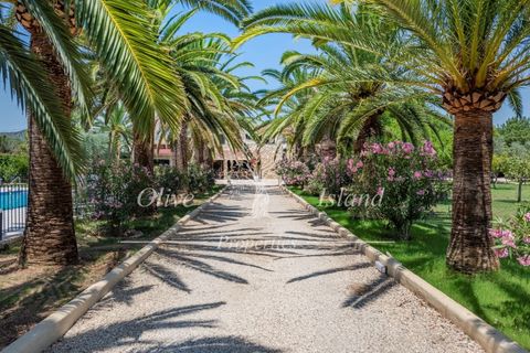 Landejendom i Binissalem, Mallorca, Binissalem - € 3.400.000 | Ref: BINI604 - foto 8