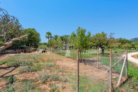 Landejendom i Binissalem, Mallorca, Binissalem - € 3.400.000 | Ref: BINI604 - foto 10