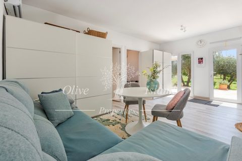 Landejendom i Binissalem, Mallorca, Binissalem - € 3.400.000 | Ref: BINI604 - foto 14