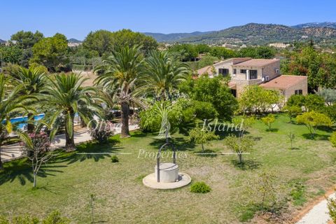 Landejendom i Binissalem, Mallorca, Binissalem - € 3.400.000 | Ref: BINI604 - foto 34