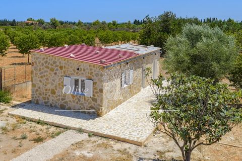 Landejendom i Binissalem, Mallorca, Binissalem - € 3.400.000 | Ref: BINI604 - foto 35