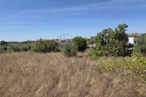 Helårsgrund i Nelas, Viseu, Nelas - € 20.000 | Ref: 0181 - foto 1