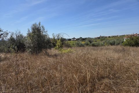 Helårsgrund i Nelas, Viseu, Nelas - € 20.000 | Ref: 0181 - foto 4