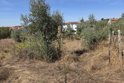 Helårsgrund i Nelas, Viseu, Nelas - € 20.000 | Ref: 0181 - foto 5