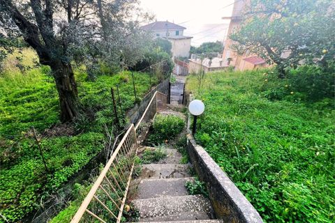 Lejlighed i Cetraro, Cosenza, Cetraro - € 46.000 | Ref: 1467 - foto 28