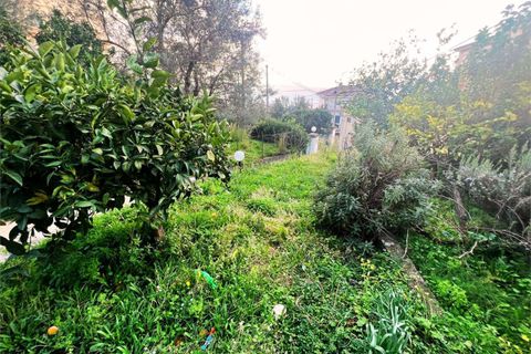 Lejlighed i Cetraro, Cosenza, Cetraro - € 46.000 | Ref: 1467 - foto 29