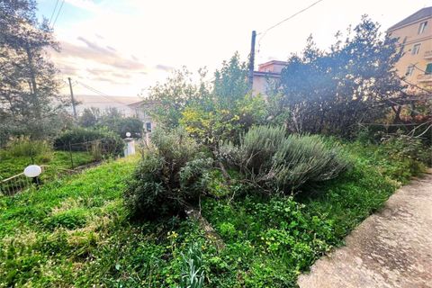 Lejlighed i Cetraro, Cosenza, Cetraro - € 46.000 | Ref: 1467 - foto 30