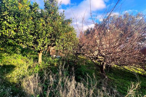 Lejlighed i Cetraro, Cosenza, Cetraro - € 46.000 | Ref: 1467 - foto 31