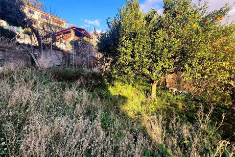Lejlighed i Cetraro, Cosenza, Cetraro - € 46.000 | Ref: 1467 - foto 32