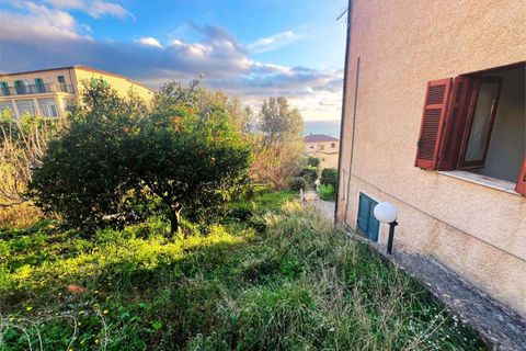 Lejlighed i Cetraro, Cosenza, Cetraro - € 46.000 | Ref: 1467 - foto 33