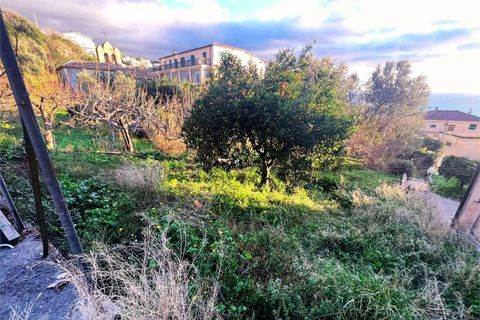 Lejlighed i Cetraro, Cosenza, Cetraro - € 46.000 | Ref: 1467 - foto 35