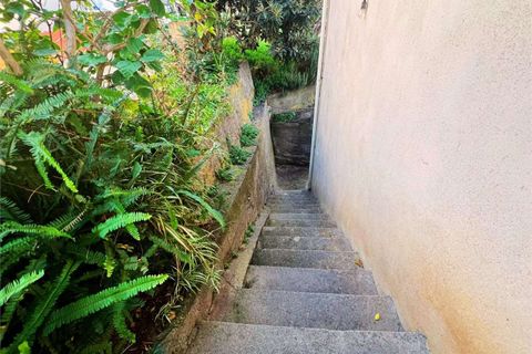 Lejlighed i Cetraro, Cosenza, Cetraro - € 46.000 | Ref: 1467 - foto 36