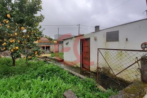 Villa a Barroselas, Viana do Castelo, Barroselas - € 145.500 | Ref: CAS_1454 - foto 15