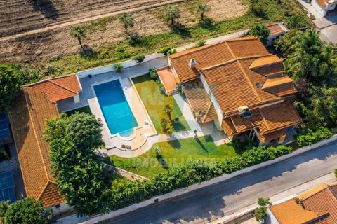 Farm i Alpiarca, Santarem, Alpiarca - € 850.000 | Ref: VMALPT5 - foto 3
