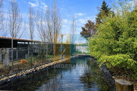 Farm i Alpiarca, Santarem, Alpiarca - € 850.000 | Ref: VMALPT5 - foto 36