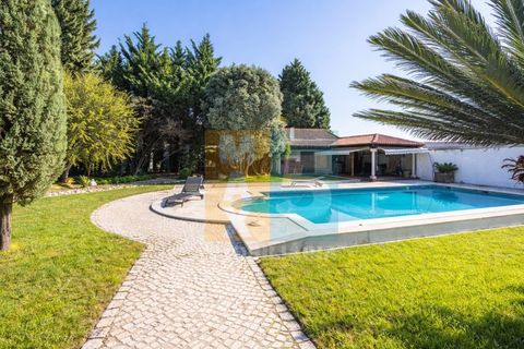 Farm i Alpiarca, Santarem, Alpiarca - € 850.000 | Ref: VMALPT5 - foto 37