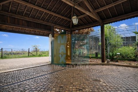 Farm i Alpiarca, Santarem, Alpiarca - € 850.000 | Ref: VMALPT5 - foto 39