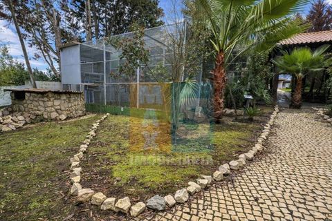 Farm i Alpiarca, Santarem, Alpiarca - € 850.000 | Ref: VMALPT5 - foto 40