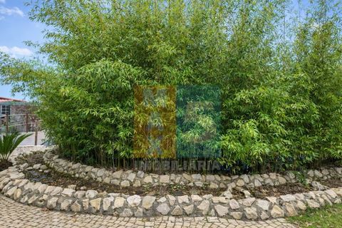 Farm i Alpiarca, Santarem, Alpiarca - € 850.000 | Ref: VMALPT5 - foto 41