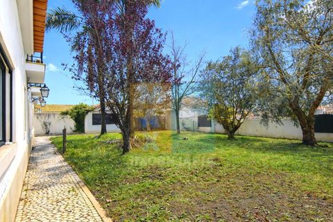 Farm i Alpiarca, Santarem, Alpiarca - € 850.000 | Ref: VMALPT5 - foto 42