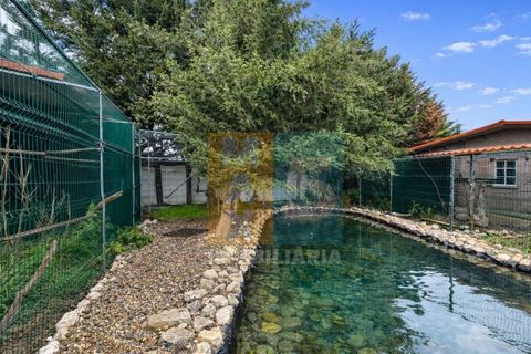 Farm i Alpiarca, Santarem, Alpiarca - € 850.000 | Ref: VMALPT5 - foto 44