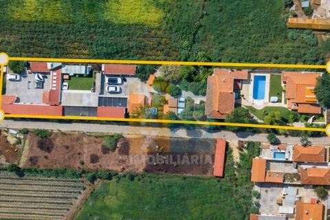 Farm i Alpiarca, Santarem, Alpiarca - € 850.000 | Ref: VMALPT5 - foto 2