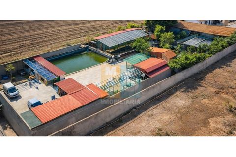 Farm i Alpiarca, Santarem, Alpiarca - € 850.000 | Ref: VMALPT5 - foto 4