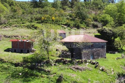 Farm i Ponte de Lima, Viana do Castelo, Ponte de Lima - € 110.000 | Ref: UNU.I.191.23362 - foto 3