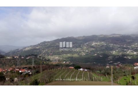 Landejendom i Cinfaes, Viseu, Cinfaes - € 160.000 | Ref: MC09871 - foto 1