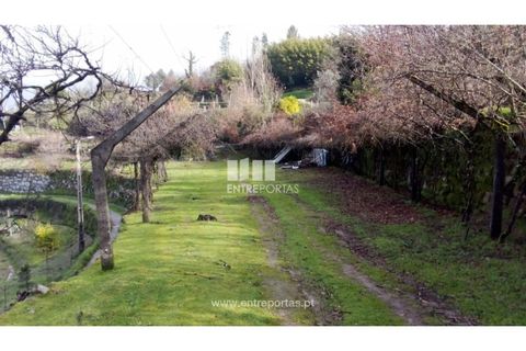 Landejendom i Cinfaes, Viseu, Cinfaes - € 160.000 | Ref: MC09871 - foto 2