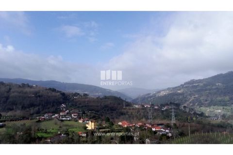 Landejendom i Cinfaes, Viseu, Cinfaes - € 160.000 | Ref: MC09871 - foto 3