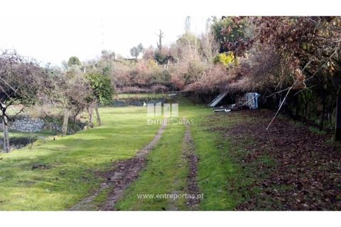 Landejendom i Cinfaes, Viseu, Cinfaes - € 160.000 | Ref: MC09871 - foto 5