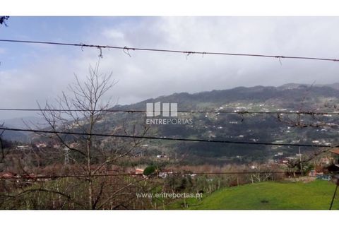 Landejendom i Cinfaes, Viseu, Cinfaes - € 160.000 | Ref: MC09871 - foto 7