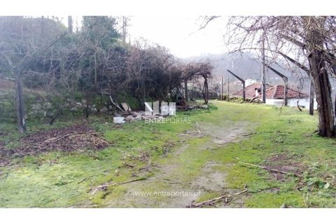 Landejendom i Cinfaes, Viseu, Cinfaes - € 160.000 | Ref: MC09871 - foto 9